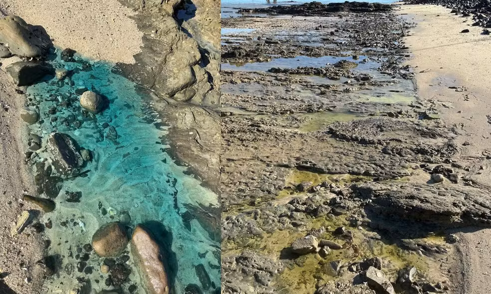 Foto Inema atribui contaminação em Paripe a passivo ambiental da Usiba