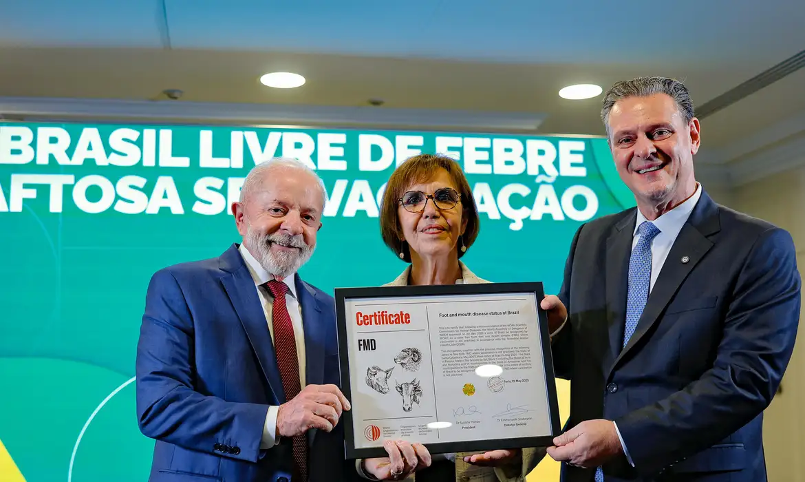 lula 