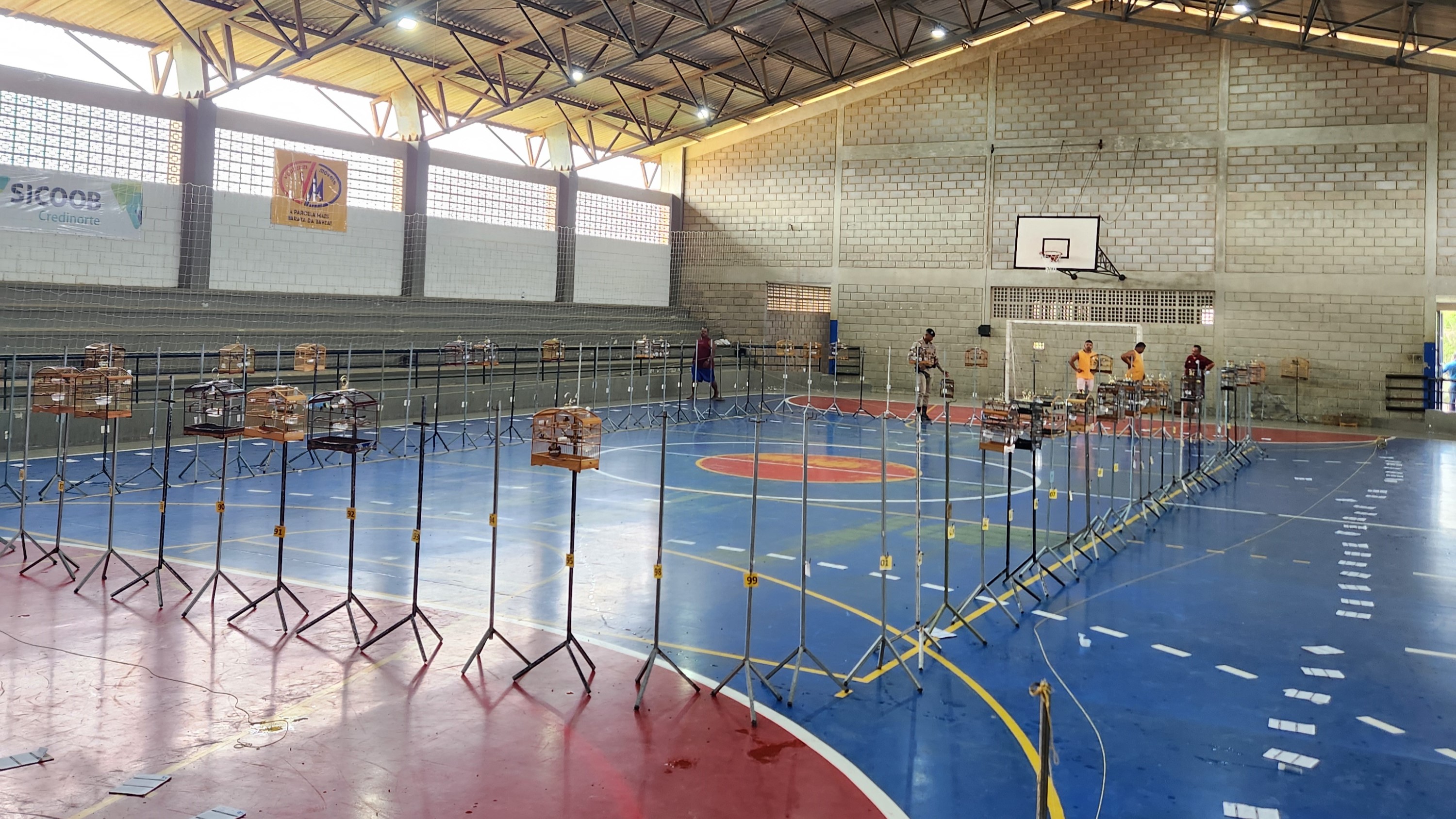 Foto Evento ilegal é interrompido e mais de 100 aves são resgatadas