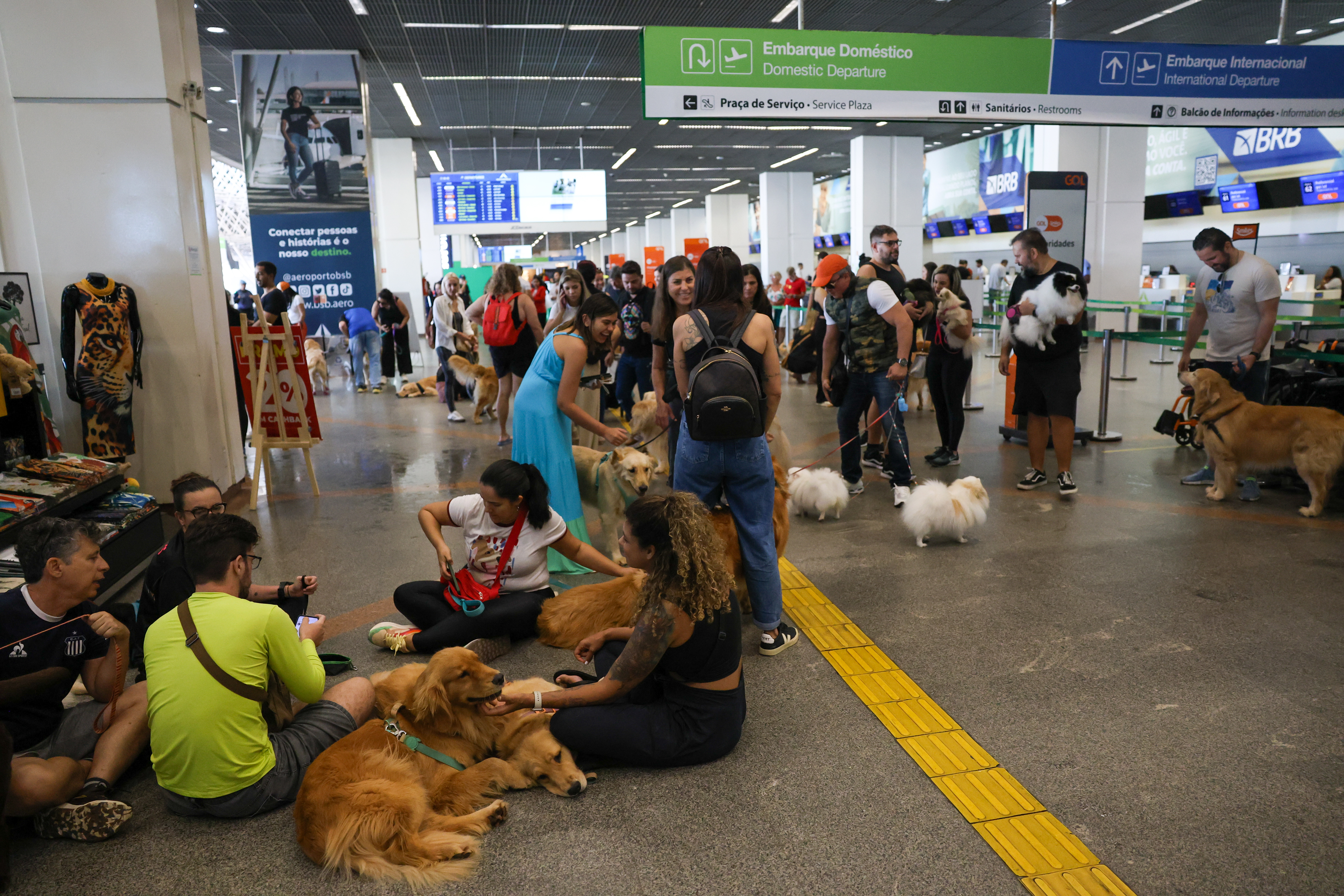 Estudo indica que abraçar o pet não ajuda a aliviar o estresse