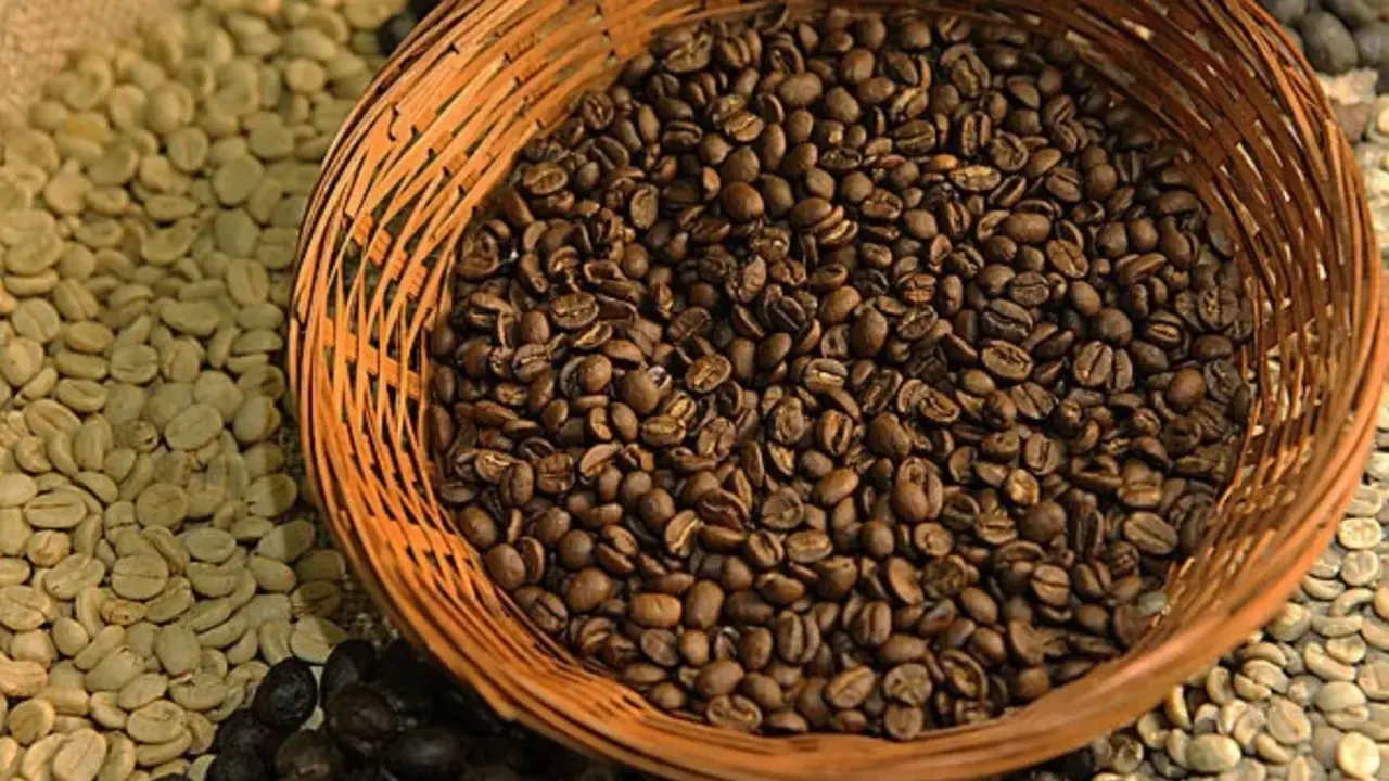 Preço do café tem queda após 18 meses, mas marcas premium seguem altas