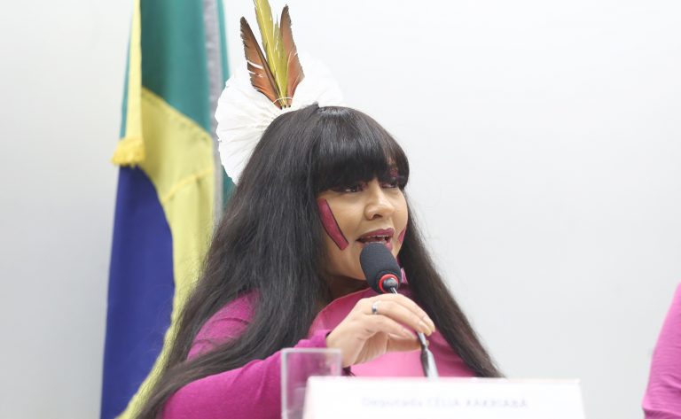 Foto Violência doméstica: comissão quer que profissionais mulheres atendam às vítimas