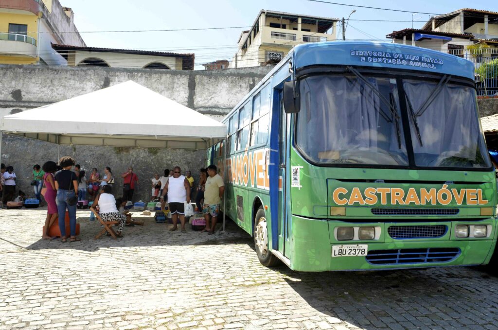 Foto Castramóvel inicia castrações gratuitas nesta segunda (17)