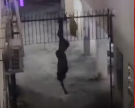 Foto Suspeito de invadir prédio fica preso em grade ao tentar fugir na Graça