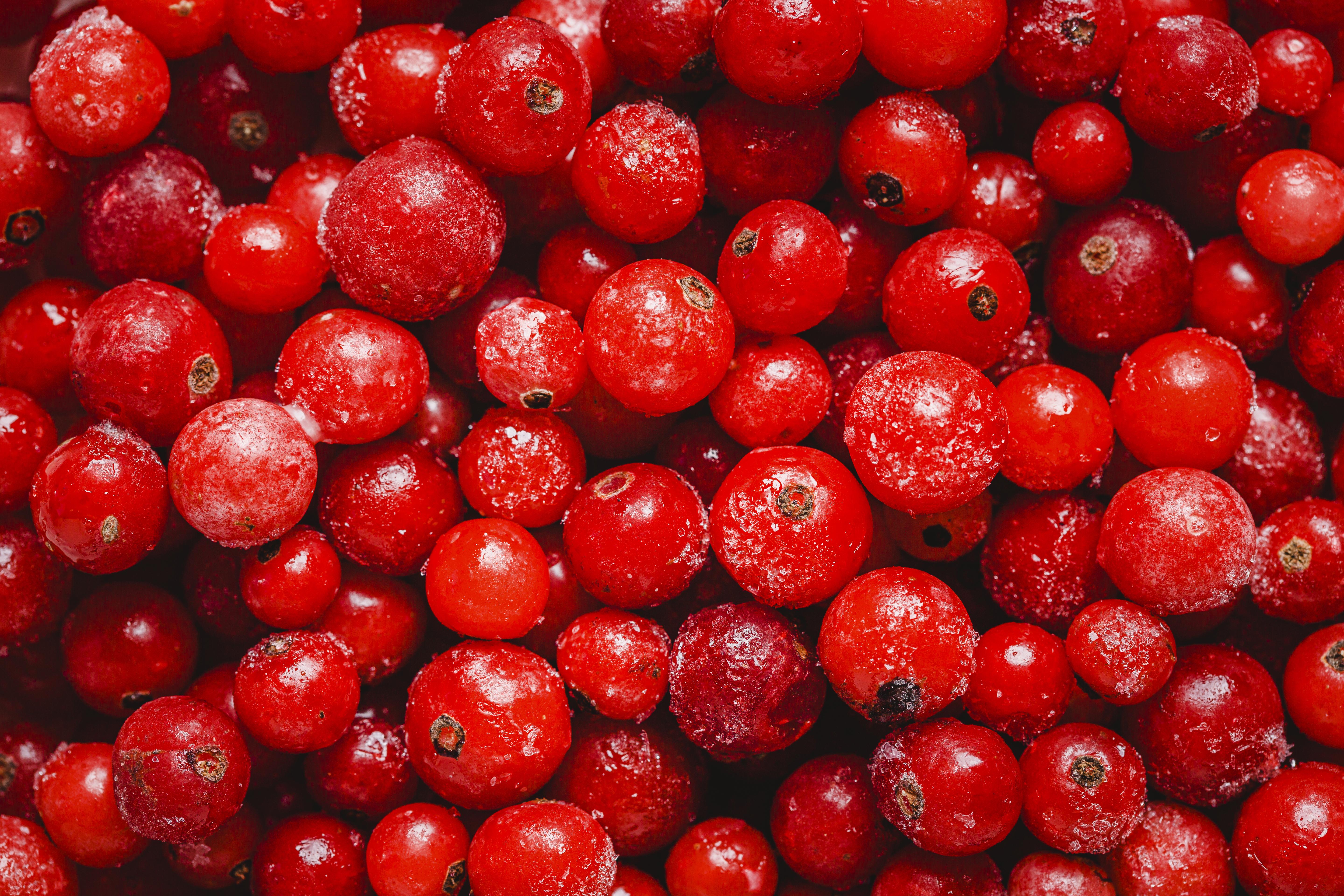  cranberry 