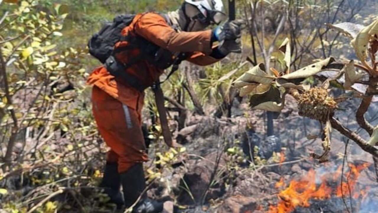 Bombeiro combatendo o fogo