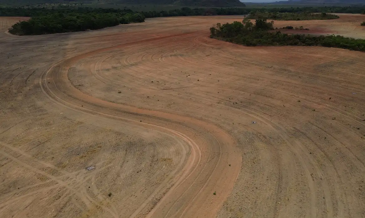 Foto STF valida Moratória da Soja e mantém acordo contra desmatamento