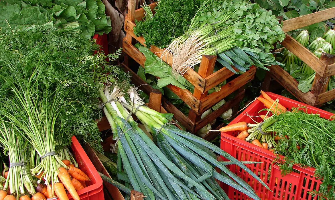 Foto Seis alimentos naturais que não podem faltar na sua lista de compras