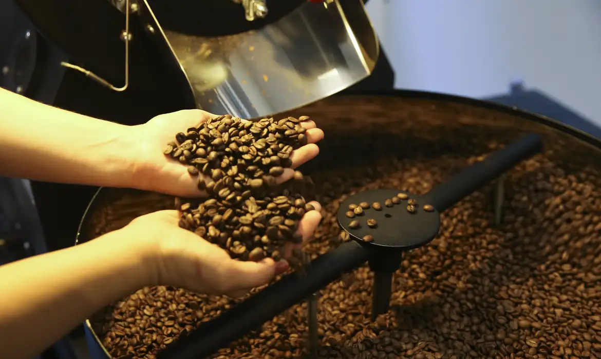 Foto El Niño já encarece café, cacau e açúcar antes de impacto nas lavouras