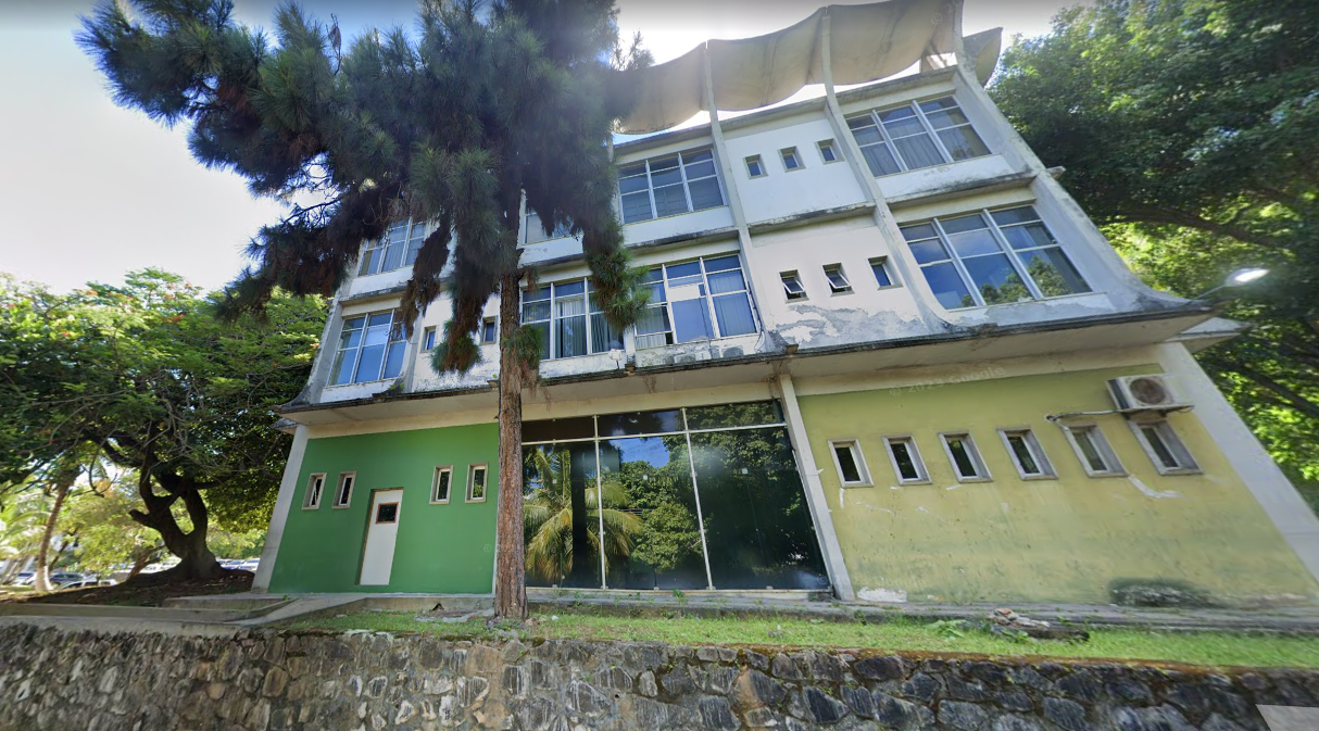 Foto MP-BA abre procedimento para proteger árvore na sede do IML