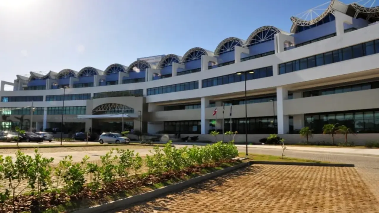 MP recomenda ações à Coelba após mortes de preguiças por choque elétrico