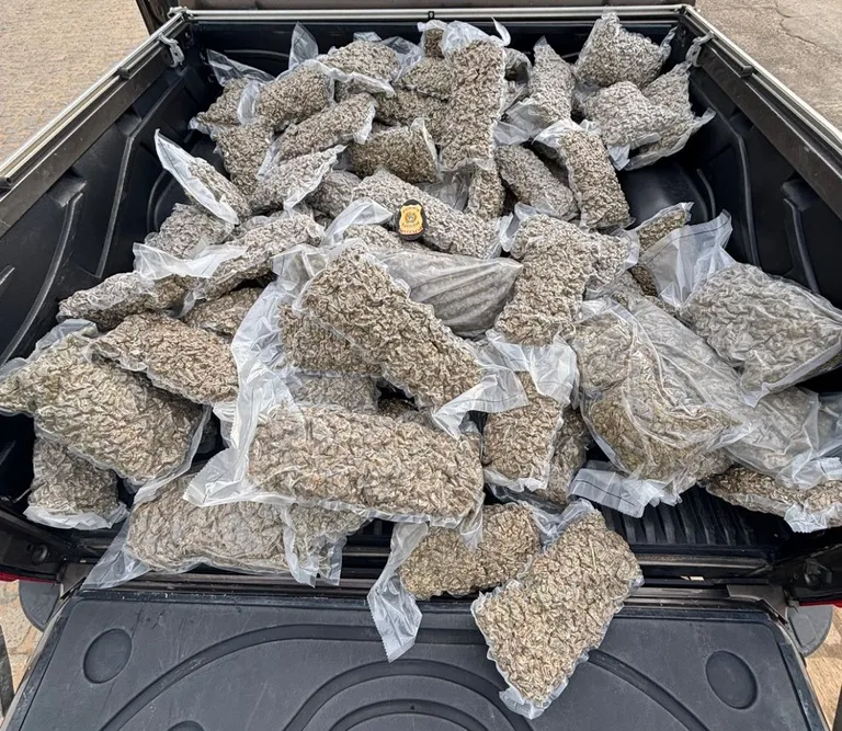 Homem é preso na Bahia tentando transportar 100 kg de maconha à facção do RJ