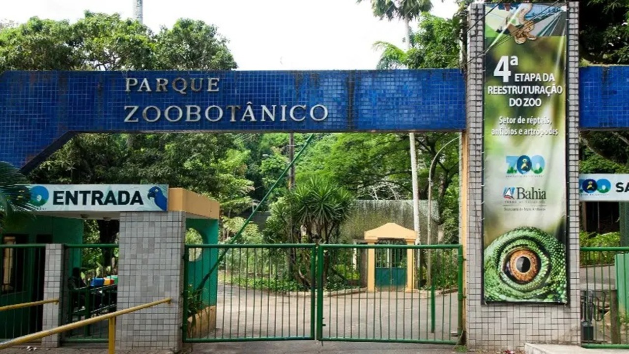Zoológico de Salvador reabre após três meses de reforma