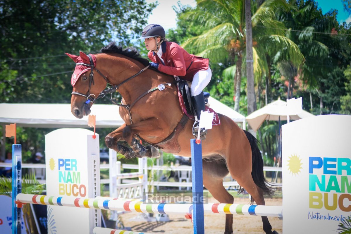 cavalo 